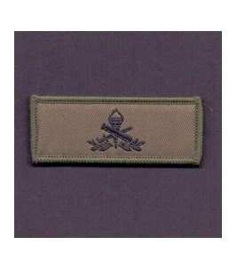 Aspirant militaire de carrière