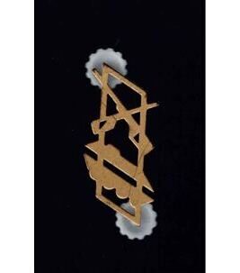 Mechanisierte Infanterie Funktionsabzeichen Schweizer Armee