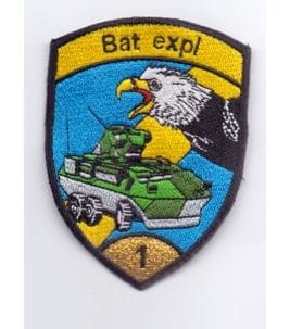 Bat Expl 1