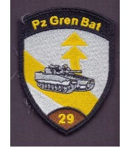 Bataillon de grenadiers de chars 29