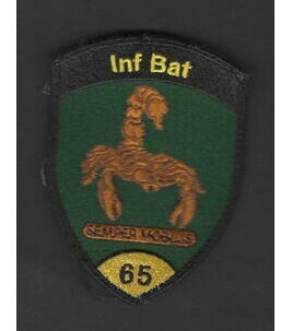Inf Bat 65