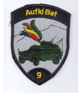 Reconnaissance Bat 9