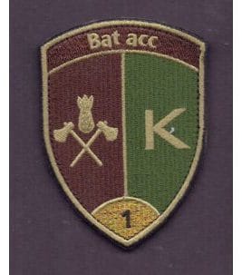 Bat acc 1 Klett