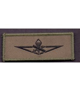 Professional Military