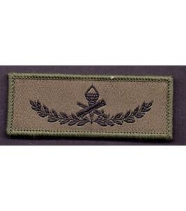 Professional military Klett