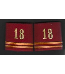 Couple de premiers-lieutenants 18