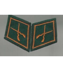 Paar Kragenspiegel Schweizer Armee