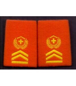 Paire de sergents-majors principaux