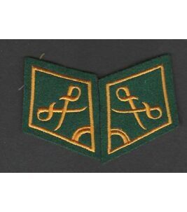 Paire de cols de l'armée suisse