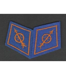 Paire de cols de l'armée suisse