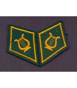 Paar Kragenspiegel Schweizer Armee