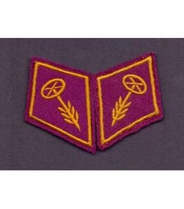 Paire de cols de l'armée suisse