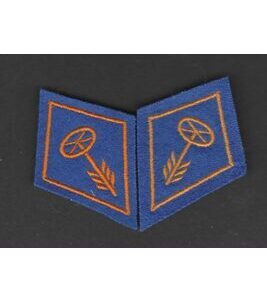 Paire de cols de l'armée suisse