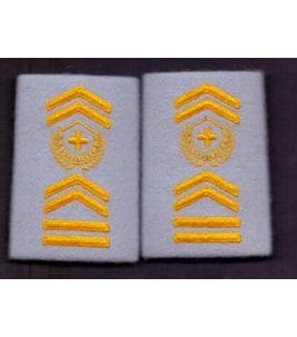 Couple d'adjudants-chefs