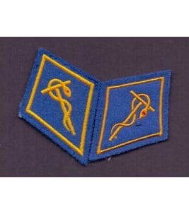 Paire de cols de l'armée suisse