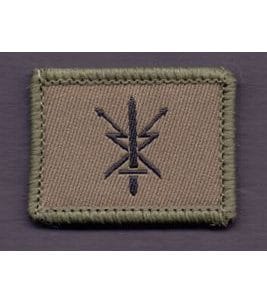 Führungsstaffelsoldat