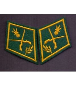 Paire de cols de l'armée suisse