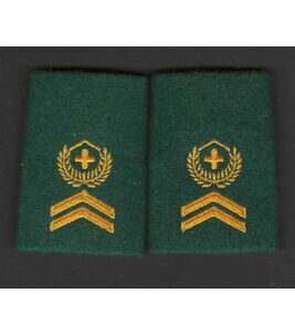 Couple de sergents-majors