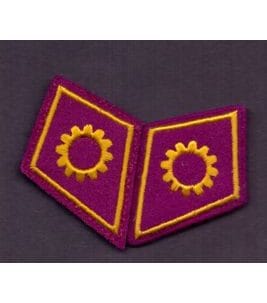 Paire de cols de l'armée suisse