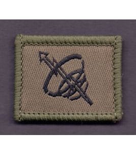 Pionnier des ondes dirigées