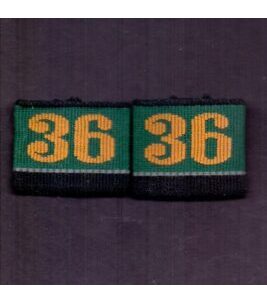 Pair 36