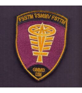 FSSTM VSMMV GMMB BM Klett