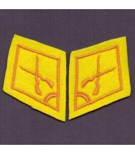 Paire de cols de l'armée suisse