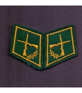 Paar Kragenspiegel Schweizer Armee Schütze