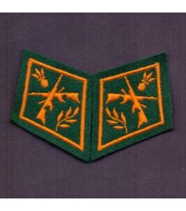 Paar Kragenspiegel Schweizer Armee Mitr der Schützenkompanie