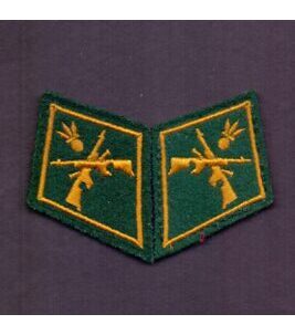 Paar Kragenspiegel Schweizer Armee Mitrailleur