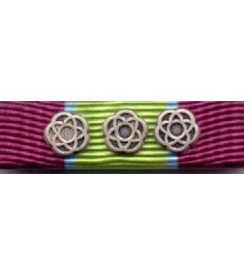 Ribbon Kosovo Mit 3 Rosetten in Silber für 650 Diensttage