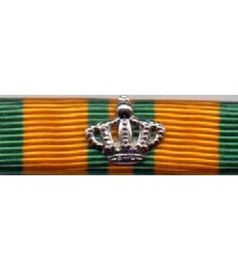 Marche du ruban à Nijmegen Hollande